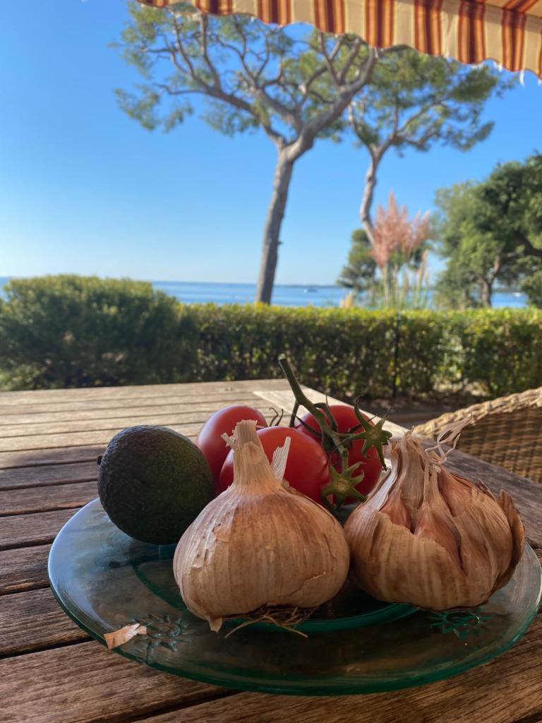 Villa Cannes Directly On The Sea Kültér fotó